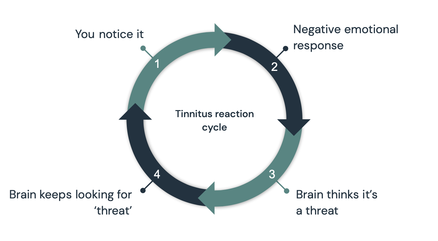 Tinnitus Habituation The Comprehensive Guide to Getting Your Life Back